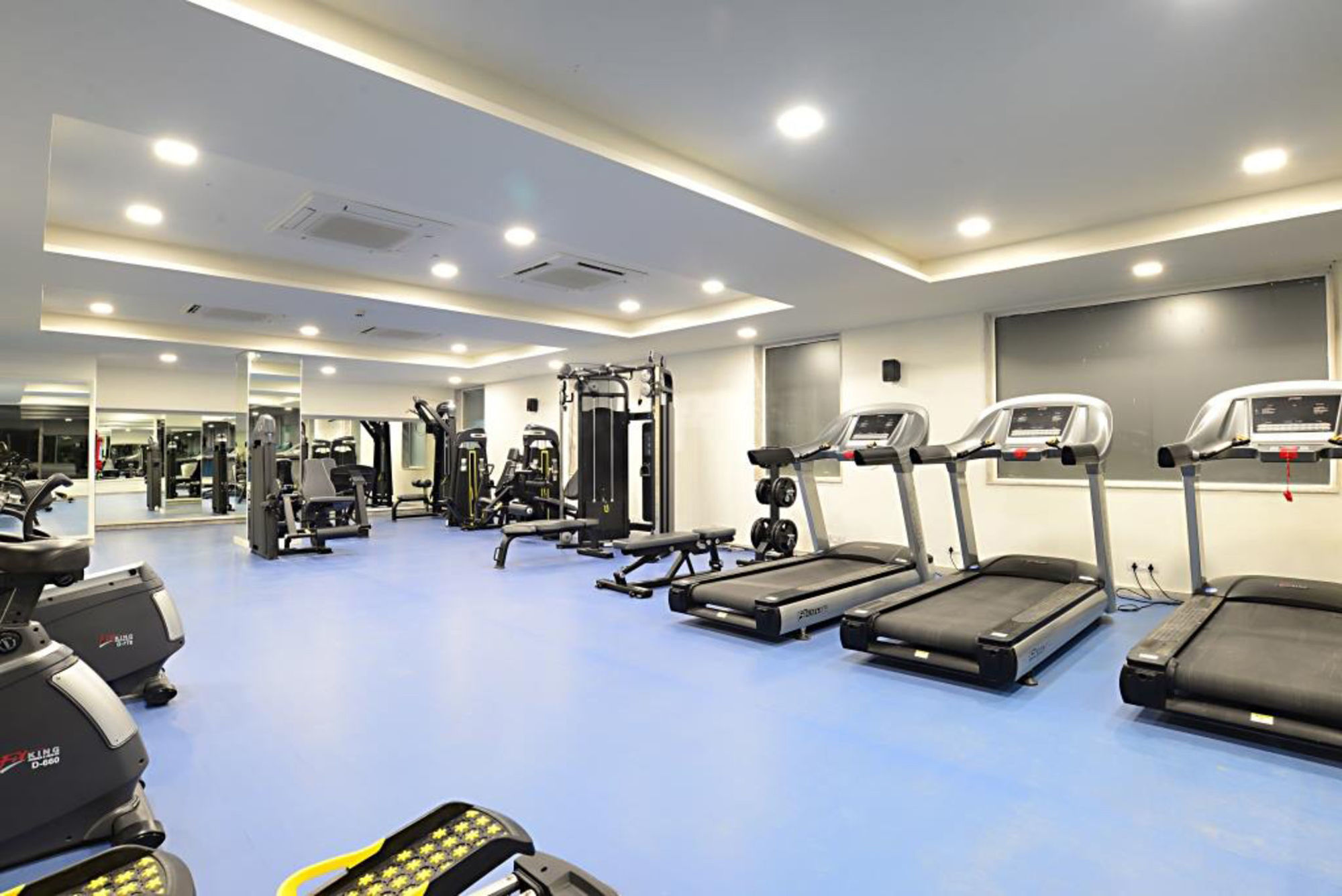 Comfort Inn Donil Vadodara Servizi foto
